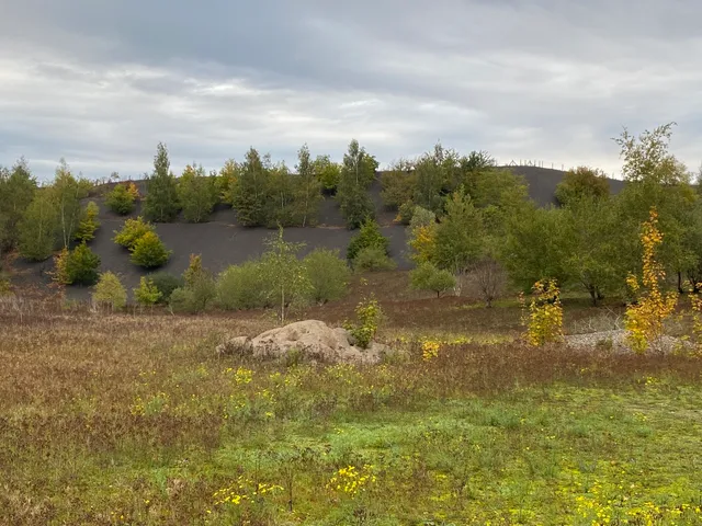 Le terril 115 (dit du téléphérique)