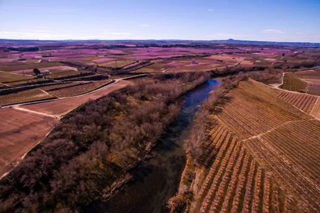 Aiguabarreig Segre-Cinca