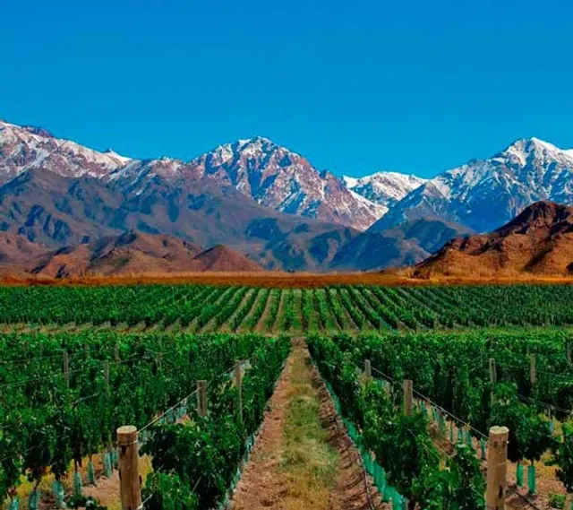 Driver in Mendoza - Mendoza Wine Tours