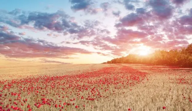 Velliyamkallu Heritage Park