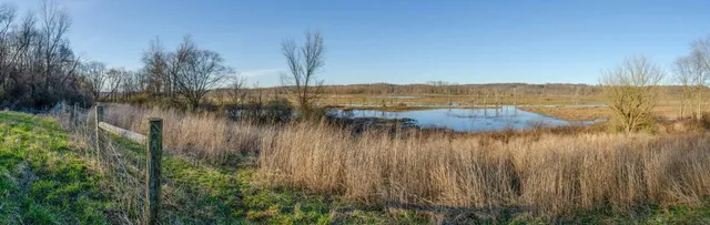 Killbuck Marsh Wildlife Area