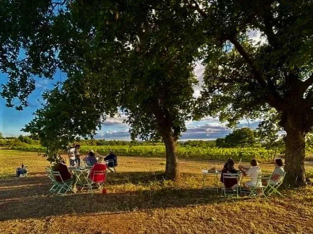 Sassotondo cantina e vigneti / cellar and vineyards