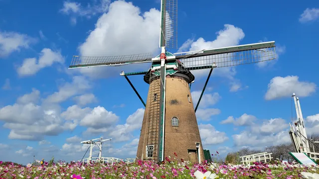 Sakura Furusato Square Inbanuma Cycling road Rest area