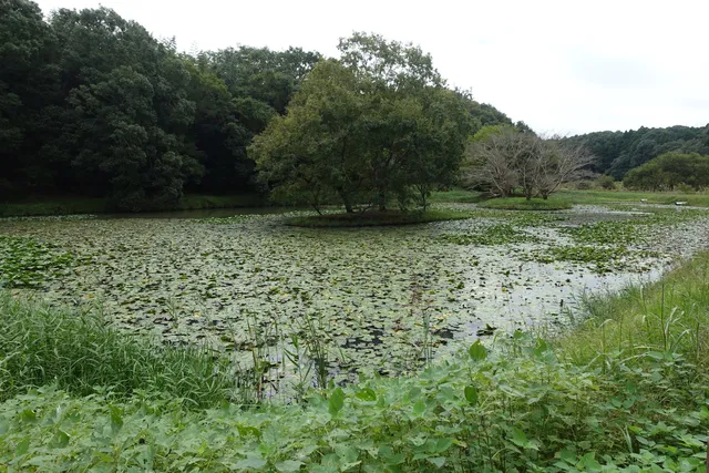 Shibayama Mizube-no-Sato (Waterfront Park)