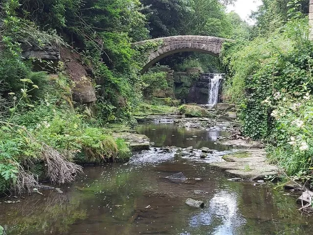 Jesmond Dene Falls