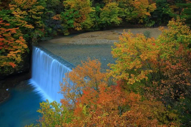 Iwate Prefectural Citizens’ Forest