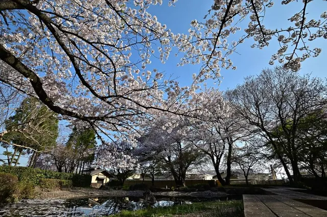 Komochi Fureai Park