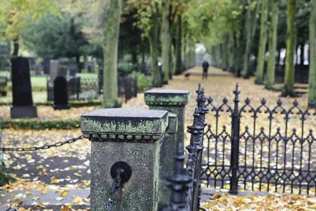 Malmö old cemetery