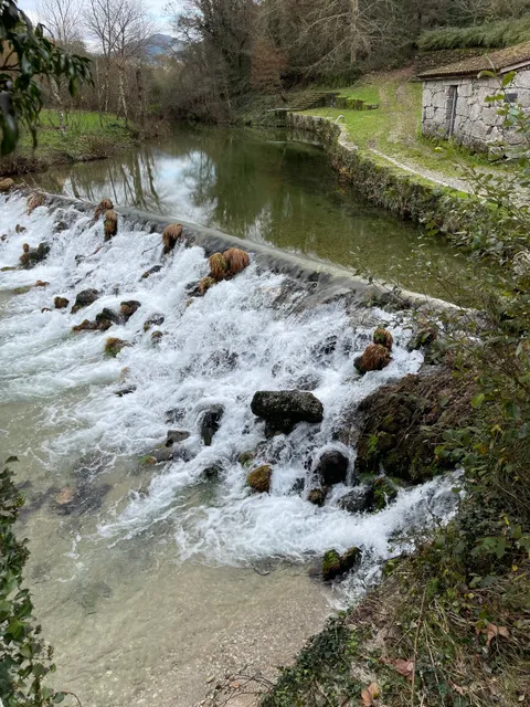 place image
