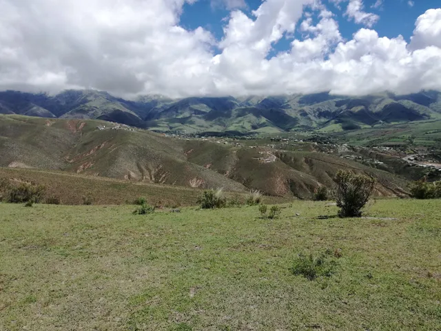 Cerro Pelao