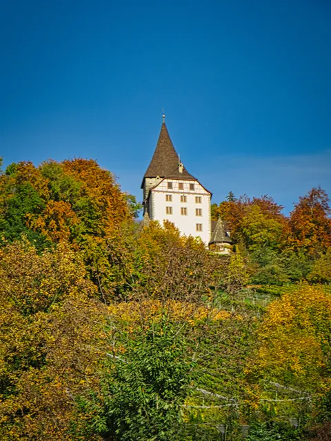 Schloss Weinfelden