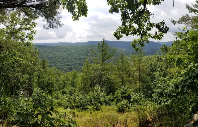 Pine Knob Loop via Appalachian Trail