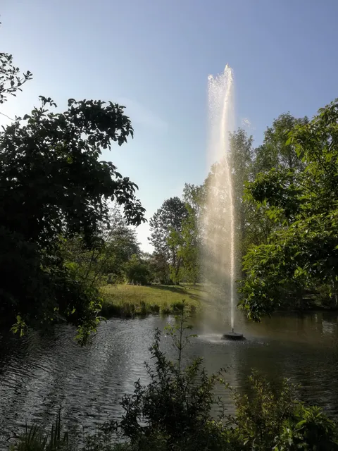 photo-1