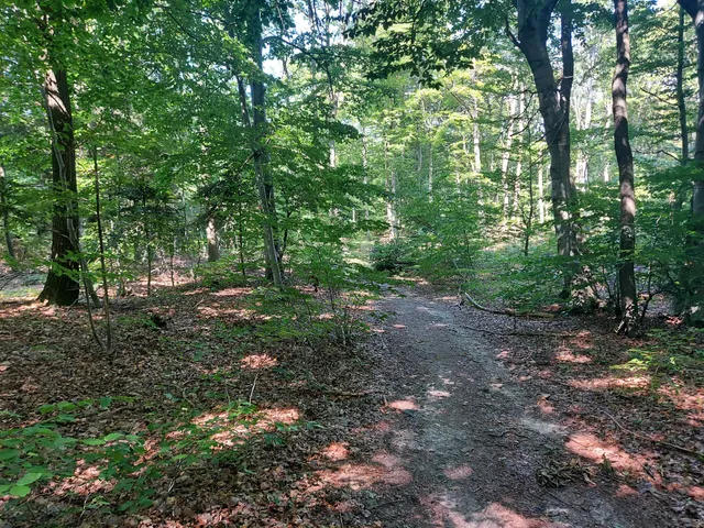 Jeleniowski Park Krajobrazowy