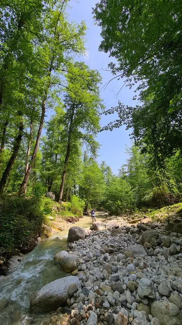 Alimalat jungle park