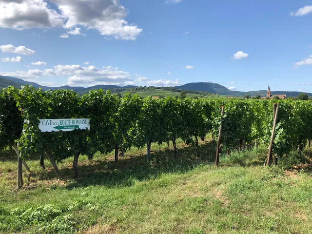 Cave de la Route Romaine Domaine Kurtyka