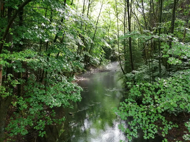 Traumschleife Hubertusrunde (Premiumwanderweg)