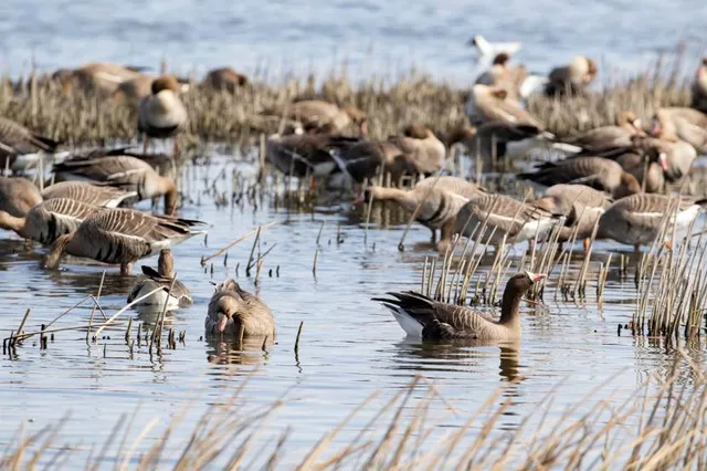 Pickerel Lake Park - Fred Meijer Nature Preserve