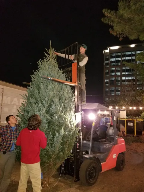 Big John's Christmas Trees (Buckhead 2025)