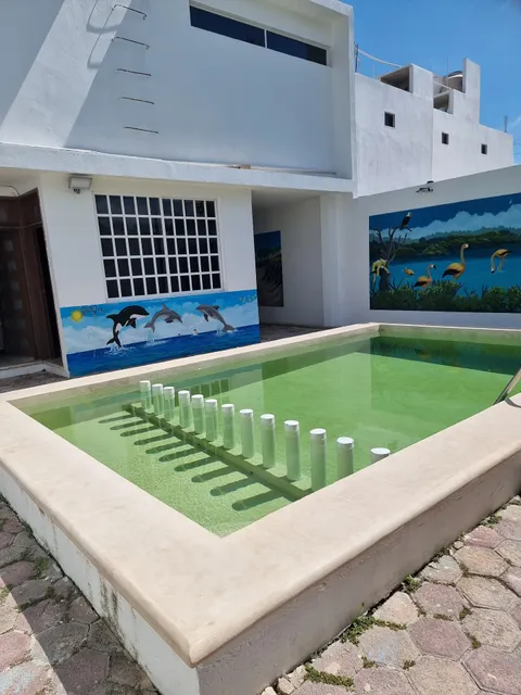 Casa del Compadre Sisal