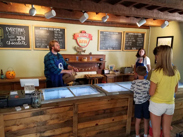 The Hyppo Gourmet Ice Pops