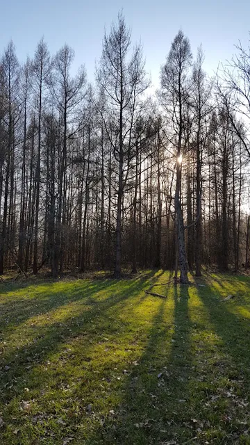 Oakwood Lake Township Park