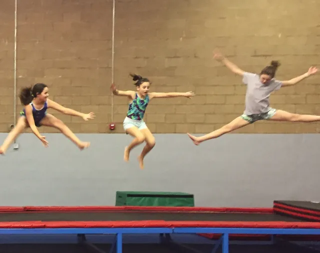 Flipper's Gymnastics