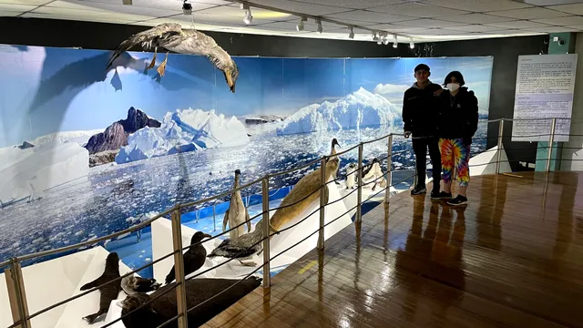 Museo Maggiorino Borgatello