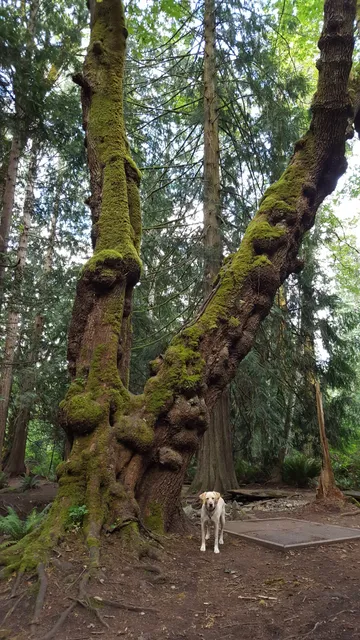 Mouat Park and Disc Golf