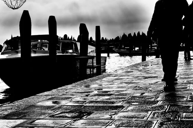 Riserva naturale Tomboli di Cecina