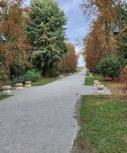 Parcul Central "Constantin Brâncuși"