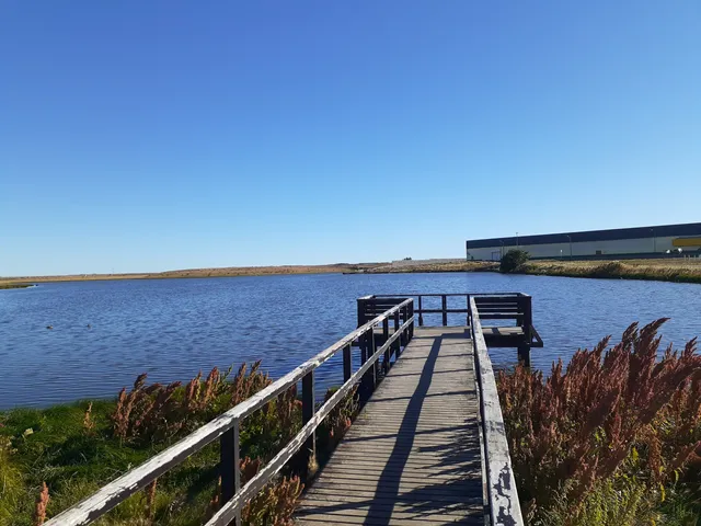 Reserva Natural Urbana - Laguna de los Patos