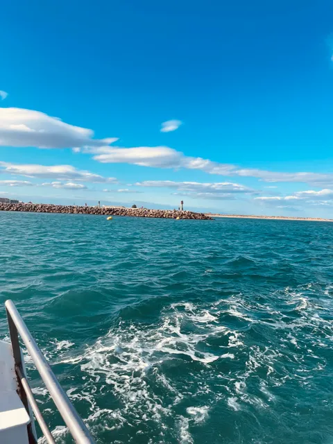 Lily promenade / pêche en mer