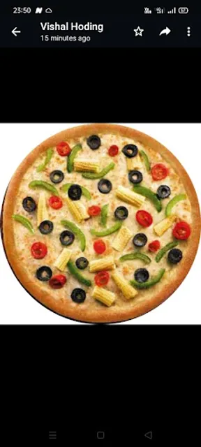 The dilicious Pizza cafe