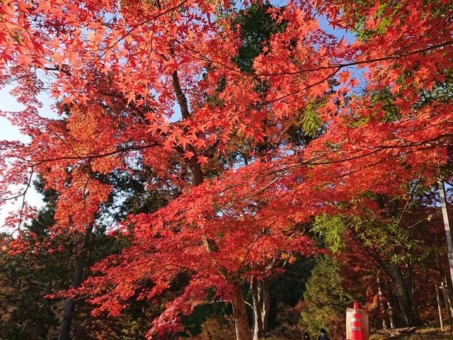 Saijozan Park