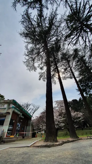 Beopgi Water Supply Area