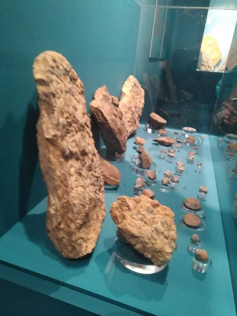 Museo Mares Paleozóicos Santa Cruz de Nogueras