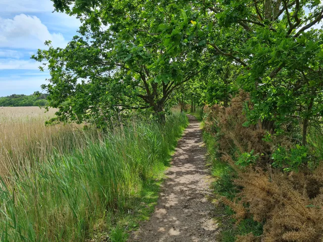 Suffolk Coast National Nature Reserve