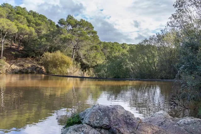 Llac Petit de Terrassa