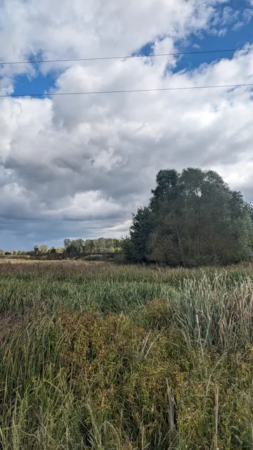 Little River Wetlands Project