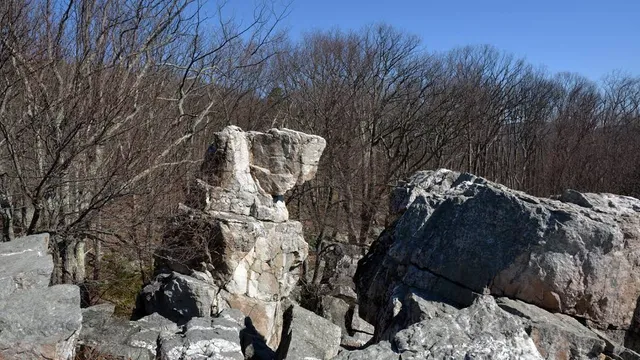 Wolf Rock