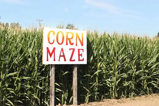 Great Vermont Corn Maze
