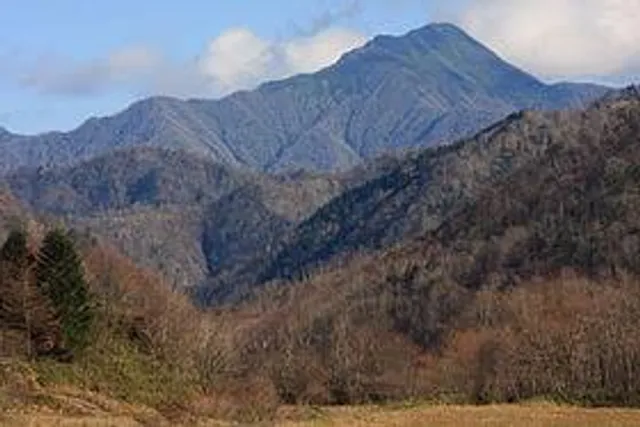 photo-1