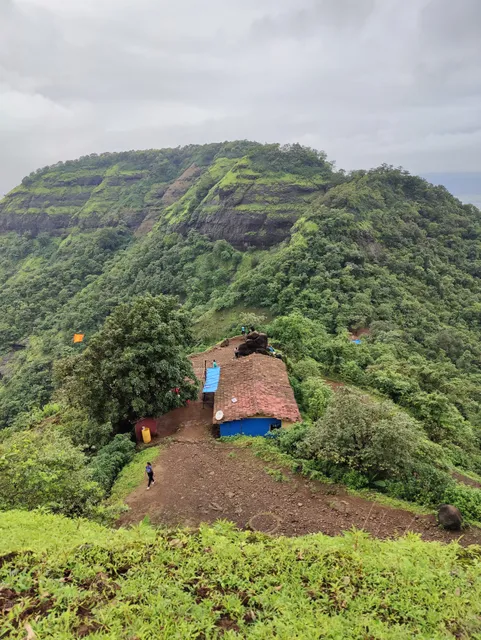 place image