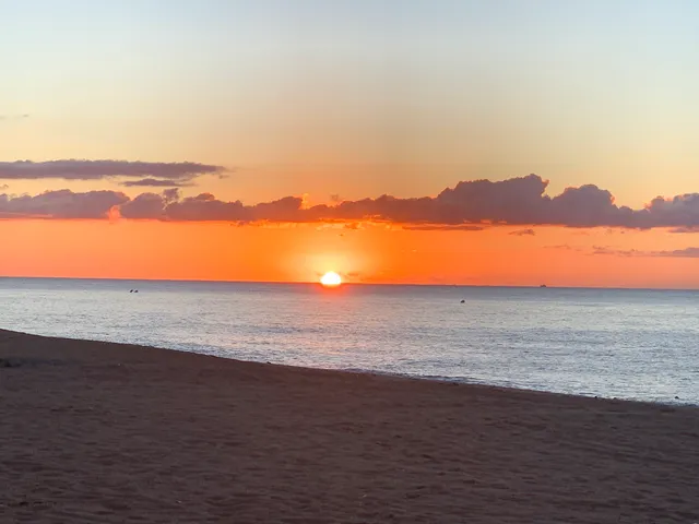 photo-1