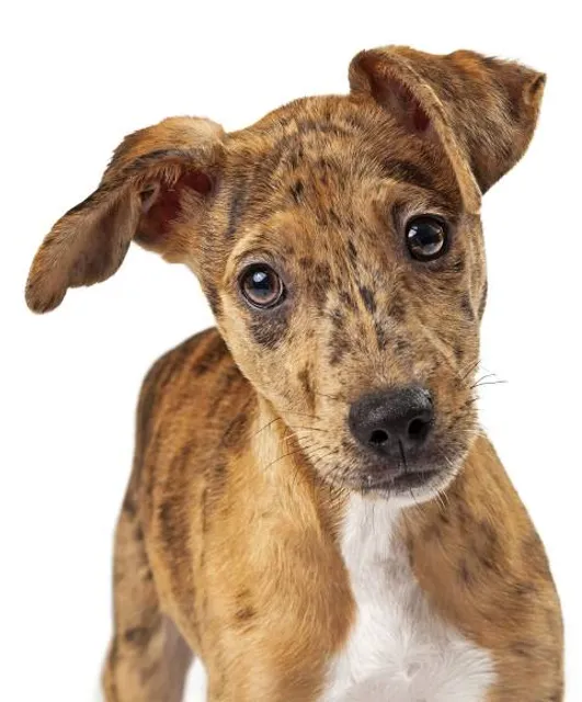 Standing Rocks County Park & Winter Recreation Area
