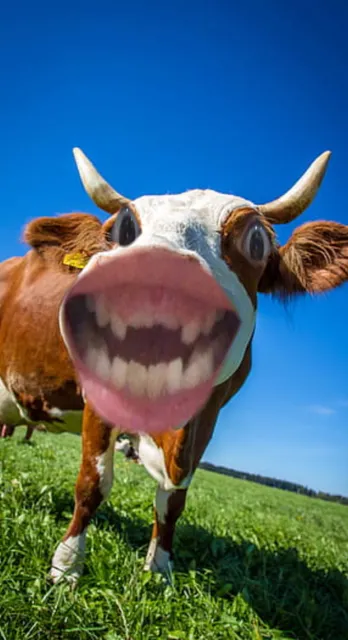 Castle Downs Spray Park