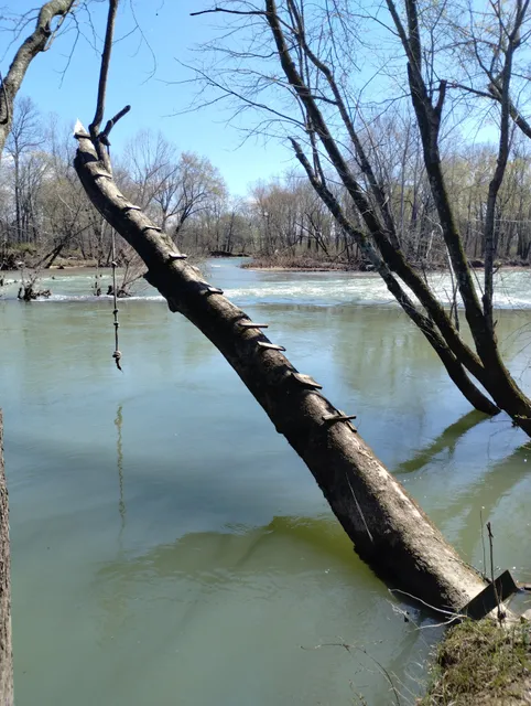 The Shanty (by Trukees)