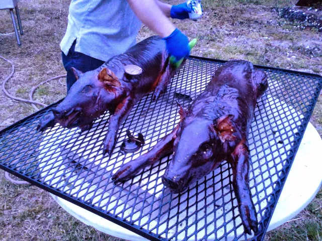 Gateway Organic Farm