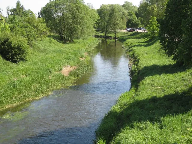 Mosiński Canal